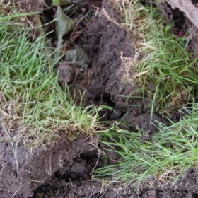 Enkel aarde en graszoden